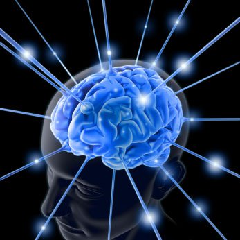 healthybrain Other Reasons To Exercise