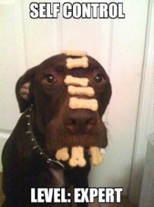 self control expert level 224x300 How To Stop The Fight With Willpower