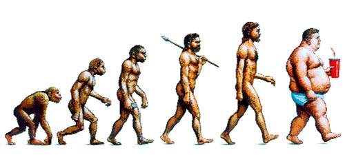 MY honest opinion on the 5:2 diet