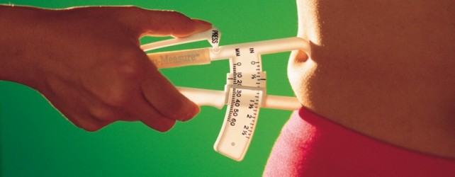 Which Program Will Burn Fat The Fastest?