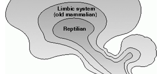 Can Simple Brain Science Transform Your Habits & Body For Good?